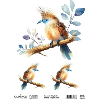 Výtvarná sada Transferový obrázek Cadence Easy Transfer, 25x35 cm - Pták s modrým zobákem