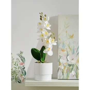 umělá květina Sinsay - Umělá okrasná orchidej v květináči - bílá - 688IH-00X - 688IH-00X-ONE