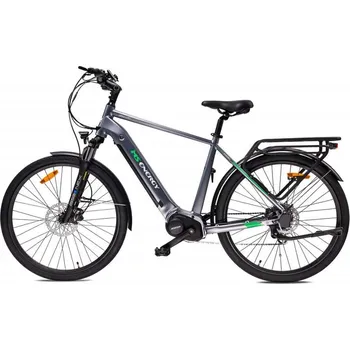 Sport MS ENERGY eBike c101