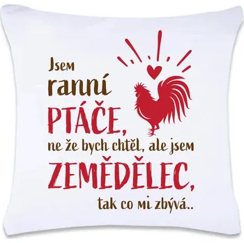 Dekorativní polštářek DOBRÝ TRIKO Polštář s potiskem 40 x 40 cm Ranní ptáče Oboustranný tisk: NE