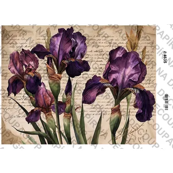 Umělecký papír Rýžový a soft papír na decoupage - Kosatce - KB4635 Materiál: Soft, Rozměr: A4