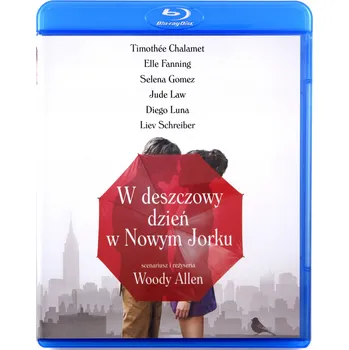 Blu-ray film W DESZCZOWY DZIEŃ W NOWYM JORKU (BLU-RAY) Blu-ray disk