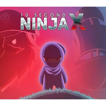 Počítačová hra 10 Second Ninja X