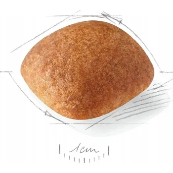 Krmivo pro psa Royal Canin BHN Golden Retriever adult 12kg krmivo pro psy