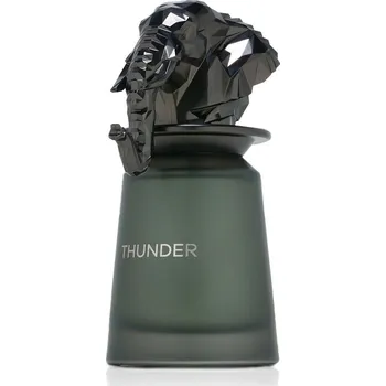 Pánský parfém French Avenue Thunder M EDP 100 ml