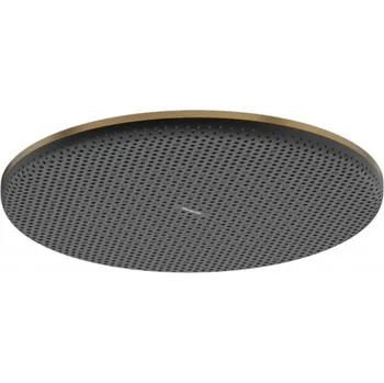 Sprchová hlavice HANSGROHE - Raindance Alive S Hlavová sprcha, průměr 30 cm, EcoSmart, kartáčovaný bronz 24521140