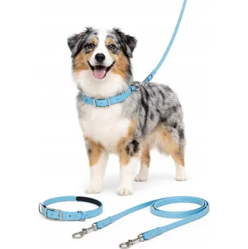Vodítko pro psa Obojek a vodítko pro psa s 3stupňovým nastavením, měkké neoprenové polstrování
