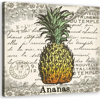 Obraz OBRAZ NA PLÁTNĚ Obraz na plátně Ananas vintage 30x30