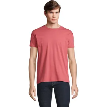 Pánské tričko REGENT Uni tričko 150g - Folk Pink TwinM