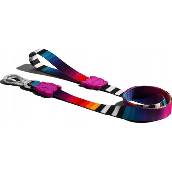 Vodítko pro psa Tradiční páskové Vodítko ZeeDog 1,2 m