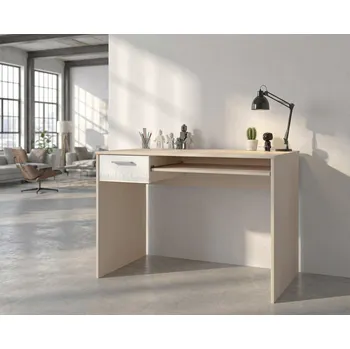 Počítačový stůl Psací stůl Charly teen