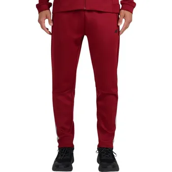 Pánské kalhoty Pánské kalhoty 4F FNK M0936 tmavě červené 4FWAW25TFTRM0936 61S 3XL