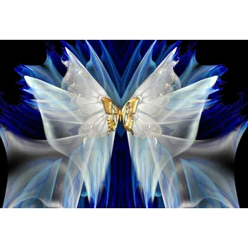 Obraz Diamantová výšivka / Mozaika 5D - Motýl 1007115