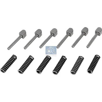 Převodovka Kameny převodovky ZF /6kamenů+pružinky/ ZF 1295298956