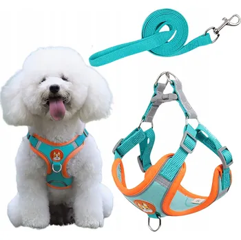 Postroj pro psa PEVNÉ BEZTLAKOVÉ POPRUHY PRO MALÉHO PSA + VODÍTKO XL