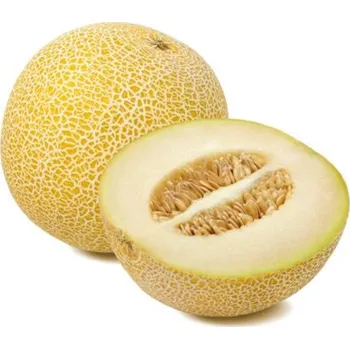 Meloun Galia, cca 0.83kg