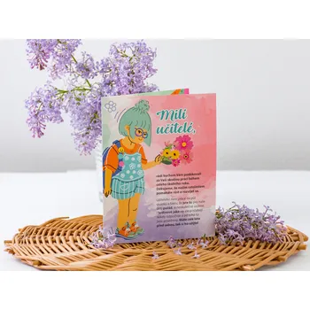 Dárkový potravinový koš LIPOO DÁRKOVÁ INTERAKTIVNÍ KARTA PRO UČITELE