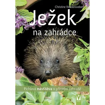 Ježek na zahrádce - Pichlavá návštěva v přírodní zahradě - Weidenweberová Christine