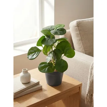 umělá květina Sinsay - Umělá dekorativní rostlina v květináči s kulatými listy - zelená - 970HJ-77X - 970HJ-77X-ONE