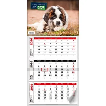 Kalendář Nástěnný kalendář A5 2026