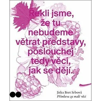 Přímluva za malé věci - Srbová Jitka Bret