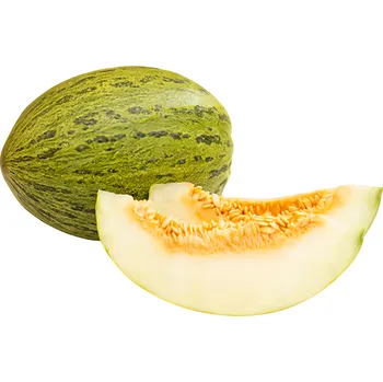 Meloun Piel De Sapo, cca 1kg