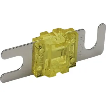 Autopojistky Mini ANL pojistka - 100A