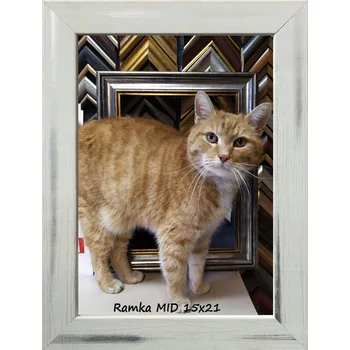 Obraz Klasický rámeček na fotografie na zeď i na postavení 15x21 dřevo