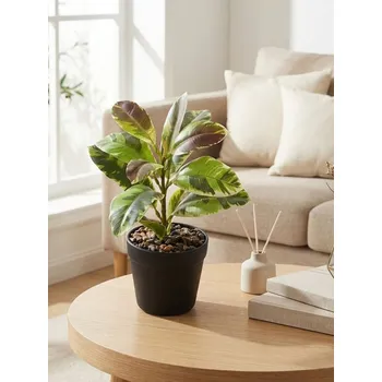 umělá květina Sinsay - Umělá dekorativní rostlina v květináči s velkými listy - zelená - 968HJ-77X - 968HJ-77X-ONE