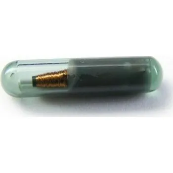 Zabzepeční vozidel Čip imobilizéru Audi CAN (TP 25)