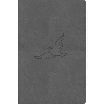 Bible, překlad 21. století (pepřová) - kapesní