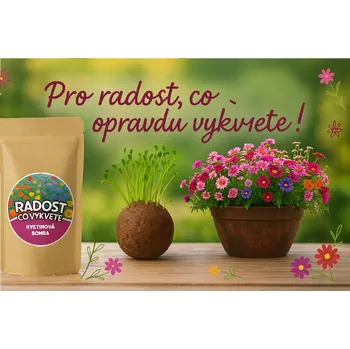 Semeno LIPOO PRO RADOST - KVĚTINOVÁ BOMBA