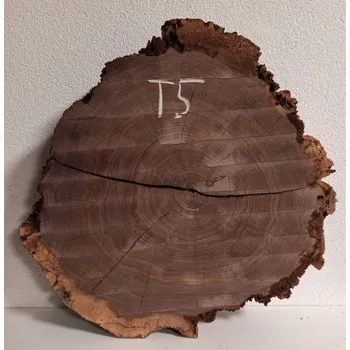 Konferenční stolek EPOXIO Ořešák - koláč pro epoxidový konferenční stolek T5