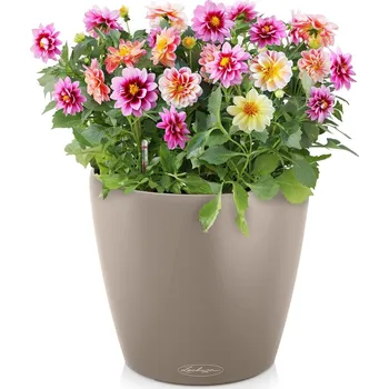 Květináč Lechuza 4Lechuza Classico Color 60 samozavlažovací květináč pískově hnědý