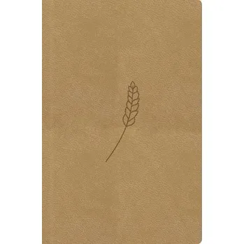 Bible, překlad 21. století (medová) - kapesní