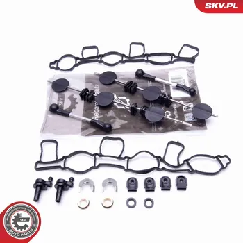 Nářadí pro automobil Sada na opravu, modul sacího potrubí ESEN SKV 49SKV500