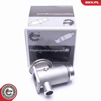 Ventil palivového systému AGR-Ventil ESEN SKV 14SKV175