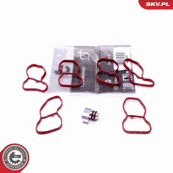 Nářadí pro automobil Sada na opravu, modul sacího potrubí ESEN SKV 49SKV516