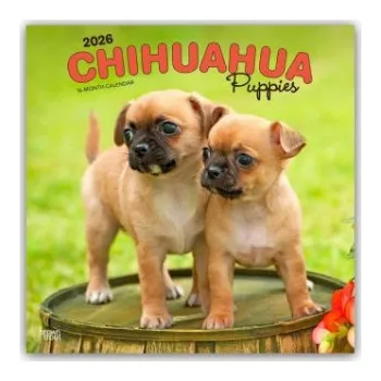 Diář Chihuahua Puppies - Chihuahua Welpen 2026 - 16-Monatskalender (EN)