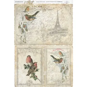 Výtvárné potřeby Rýžový papír A4 pro tvoření ITD - Paris, písmo, ptáci, noty, béžové - R0184