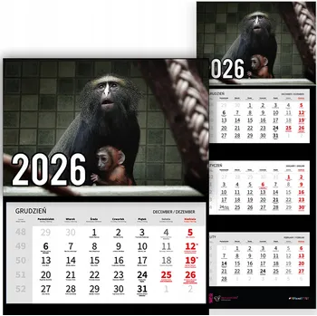 Kalendář Trojdílný kalendář na rok 2026 Małpa w Zoo Premium | Nástěnný kalendář s motivy