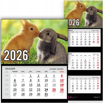 Kalendář Trojdílný kalendář na rok 2026 Dwa króliczki Premium | Nástěnný kalendář - různé vzory