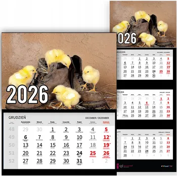 Kalendář Trojdílný kalendář na rok 2026 Małe pisklaki Premium | Nástěnný kalendář - různé vzory