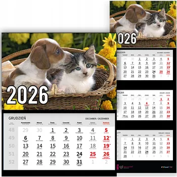Obraz Trojdílný kalendář na rok 2026 Kot i piesek w koszyku Premium | Vzory