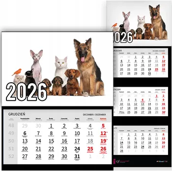 Obraz Trojdílný kalendář na rok 2026 Słodkie zwierzaki Premium | mnoho vzorů