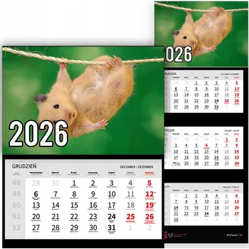 Kalendář Trojdílný kalendář na rok 2026 Małpka na linie Premium | Nástěnný kalendář s motivy