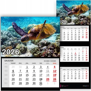 Kalendář Trojdílný kalendář na rok 2026 Żółw na rafie Premium | Nástěnný kalendář s motivy