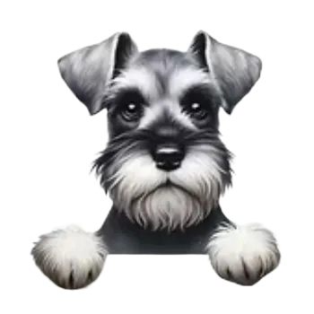 Nášivka Nažehlovací obrázek - pohled štěněte I (10,4 x 11,0 cm)