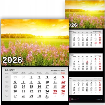 Kalendář Trojdílný kalendář na rok 2026 Kolorowe kwiaty na polu Premium | Vzory