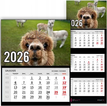 Kalendář Trojdílný kalendář na rok 2026 Lamy na farmie Premium | Nástěnný kalendář s motivy